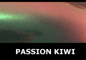 Passion Kiwi, Custom Paints