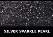 Sparkle Pearl Silver, Custom Paints