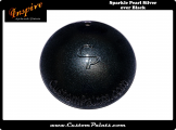 Sparkle Pearl Silver, Custom Paints